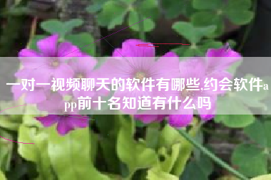 一对一视频聊天的软件有哪些,约会软件app前十名知道有什么吗
