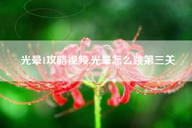 光晕1攻略视频,光晕怎么跳第三关