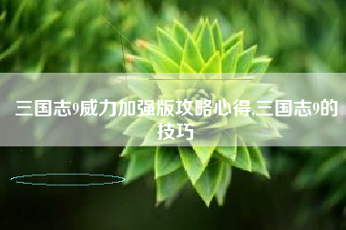 三国志9威力加强版攻略心得,三国志9的技巧