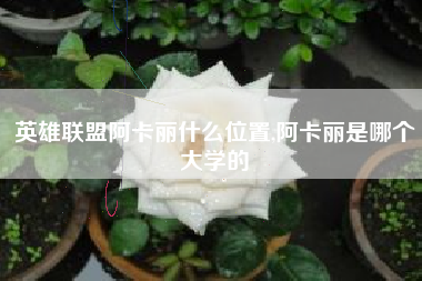 英雄联盟阿卡丽什么位置,阿卡丽是哪个大学的