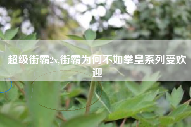 超级街霸2x,街霸为何不如拳皇系列受欢迎