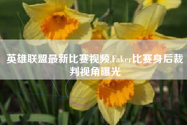 英雄联盟最新比赛视频,Faker比赛身后裁判视角曝光