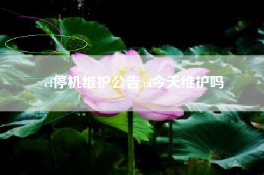 cf停机维护公告,cf今天维护吗