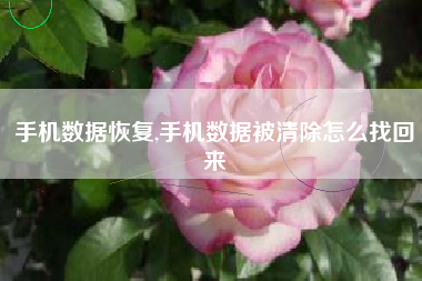 手机数据恢复,手机数据被清除怎么找回来