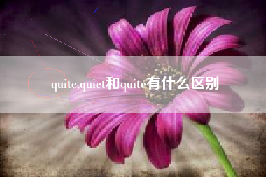quite,quiet和quite有什么区别