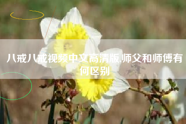 八戒八戒视频中文高清版,师父和师傅有何区别