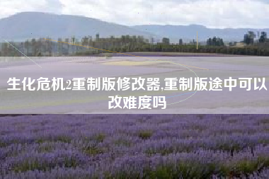 生化危机2重制版修改器,重制版途中可以改难度吗