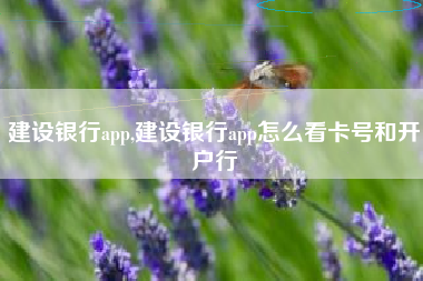 建设银行app,建设银行app怎么看卡号和开户行