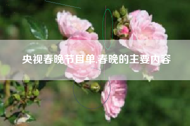 央视春晚节目单,春晚的主要内容