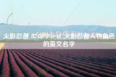 火影忍者 エロワンピ,火影忍者人物角色的英文名字