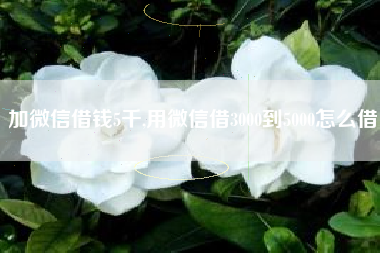 加微信借钱5千,用微信借3000到5000怎么借
