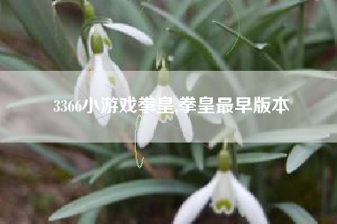 3366小游戏拳皇,拳皇最早版本