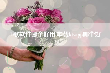 k歌软件哪个好用,车载ktvapp哪个好