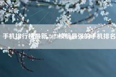 手机排行榜最新,2023续航最强的手机排名