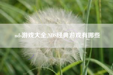nds游戏大全,NDS经典游戏有哪些