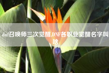 dnf召唤师三次觉醒,DNF各职业觉醒名字叫啥