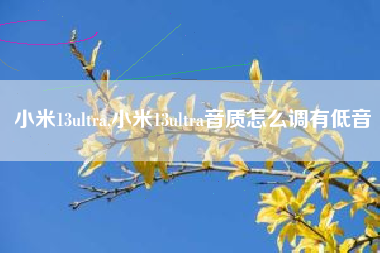 小米13ultra,小米13ultra音质怎么调有低音