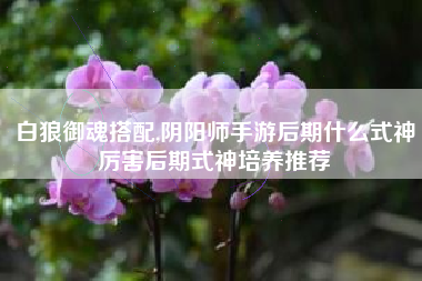 白狼御魂搭配,阴阳师手游后期什么式神厉害后期式神培养推荐