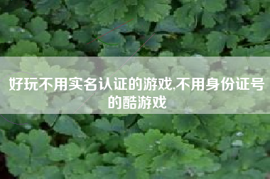 好玩不用实名认证的游戏,不用身份证号的酷游戏