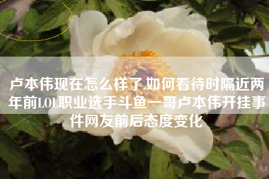 卢本伟现在怎么样了,如何看待时隔近两年前LOL职业选手斗鱼一哥卢本伟开挂事件网友前后态度变化