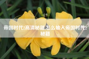 帝国时代2高清秘籍,怎么输入帝国时代2秘籍