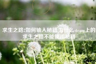 求生之路2如何输入秘籍,为什么steam上的求生之路不能使用秘籍