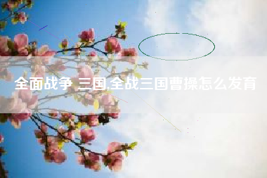 全面战争 三国,全战三国曹操怎么发育