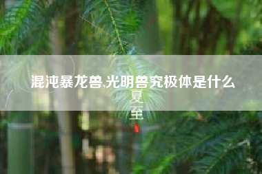 混沌暴龙兽,光明兽究极体是什么