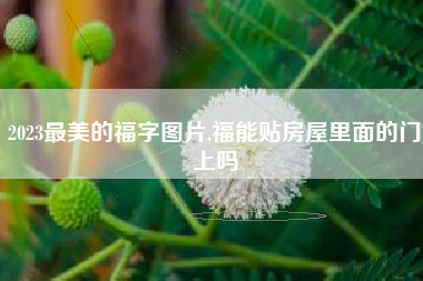 2023最美的福字图片,福能贴房屋里面的门上吗