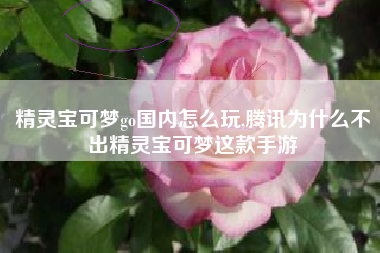 精灵宝可梦go国内怎么玩,腾讯为什么不出精灵宝可梦这款手游