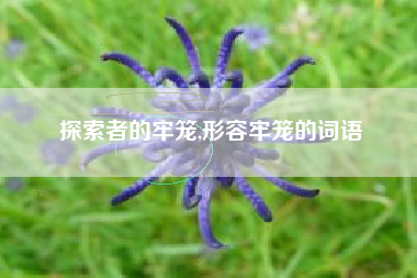 探索者的牢笼,形容牢笼的词语