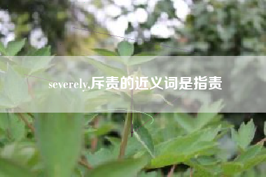 severely,斥责的近义词是指责