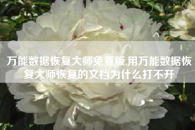 万能数据恢复大师免费版,用万能数据恢复大师恢复的文档为什么打不开
