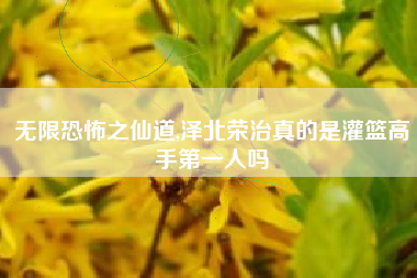 无限恐怖之仙道,泽北荣治真的是灌篮高手第一人吗