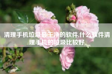 清理手机垃圾最干净的软件,什么软件清理手机的垃圾比较好