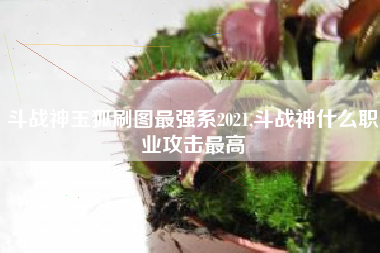 斗战神玉狐刷图最强系2021,斗战神什么职业攻击最高