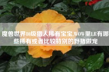 魔兽世界80级猎人稀有宝宝,WOW里LR有哪些稀有或者比较特别的野猪做宠