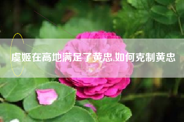 虞姬在高地满足了黄忠,如何克制黄忠