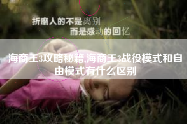 海商王3攻略秘籍,海商王3战役模式和自由模式有什么区别