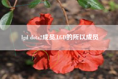 lgd dota2成员,LGD的所以成员