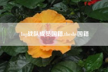 lng战队成员国籍,theshy国籍