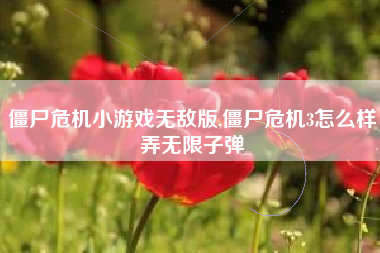 僵尸危机小游戏无敌版,僵尸危机3怎么样弄无限子弹
