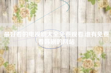 最好看的电视剧大全免费观看,谁有免费看韩剧的网站