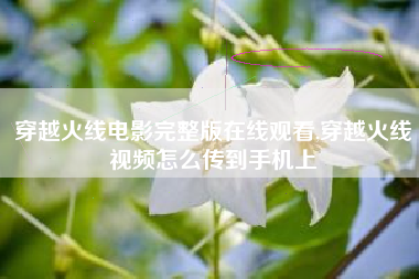 穿越火线电影完整版在线观看,穿越火线视频怎么传到手机上
