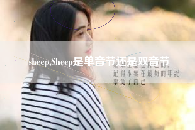 sheep,Sheep是单音节还是双音节