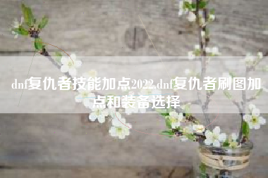 dnf复仇者技能加点2022,dnf复仇者刷图加点和装备选择