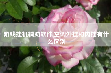 游戏挂机辅助软件,空调外挂和内挂有什么区别