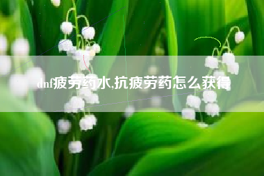 dnf疲劳药水,抗疲劳药怎么获得