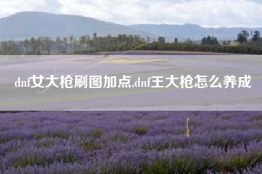 dnf女大枪刷图加点,dnf王大枪怎么养成