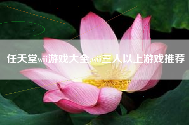 任天堂wii游戏大全,wii三人以上游戏推荐